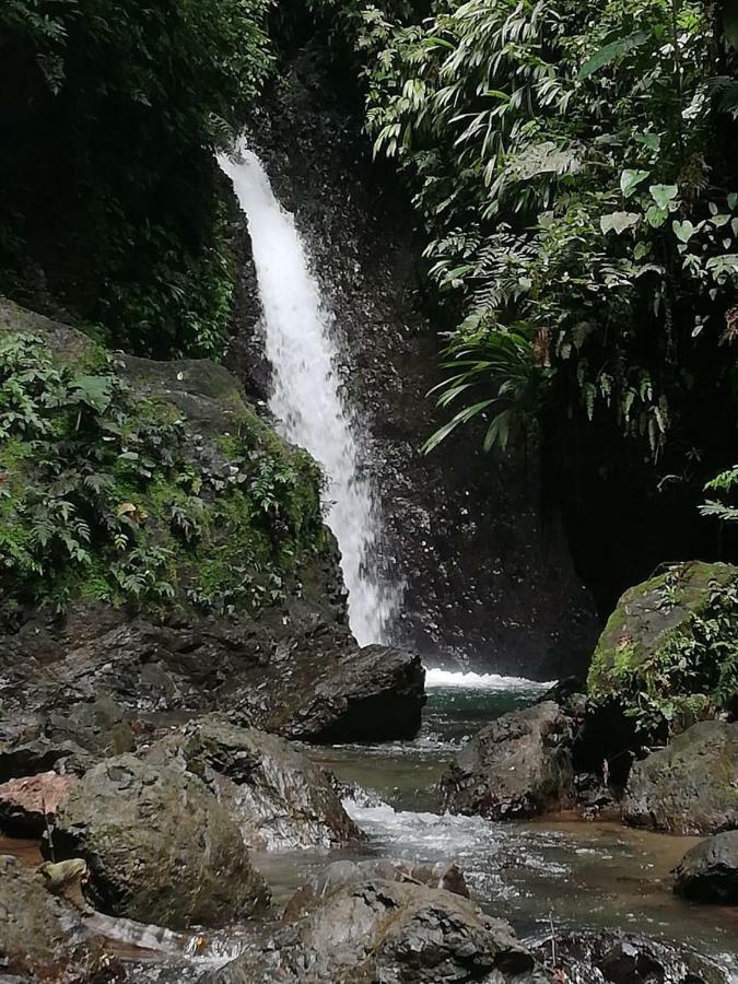Posada El Acuario Bahia Solano Kültér fotó