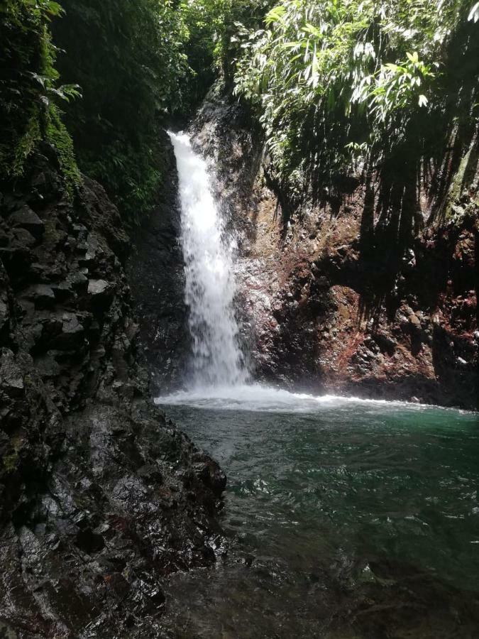 Posada El Acuario Bahia Solano Kültér fotó