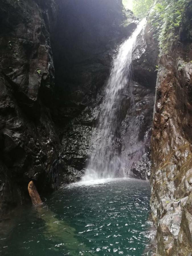 Posada El Acuario Bahia Solano Kültér fotó